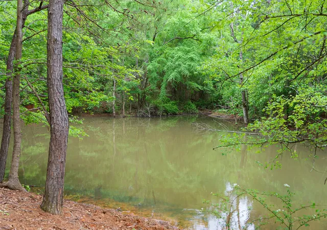 Photo 4 of Land for sale at 0 Cr 1615, Jacksonville, TX 75766 | MLS# 21236518 | Listing updated on 2026-07-30