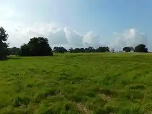 Photo 1 of Land for sale at Lot 69 Vista Ridge Rd, Corsicana, TX 75109 | MLS# 21237065 | Listing updated on 2026-05-26