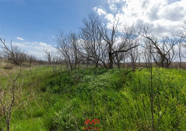 Homes for sale in Anson, TX | Tract 3 Cr 463, Anson, TX 79501 | MLS# 21237390