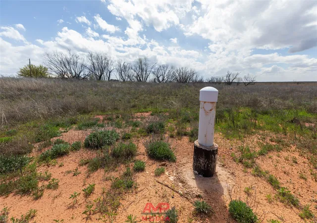 Homes for sale in Anson, TX | Tract 3 Cr 463, Anson, TX 79501 | MLS# 21237390