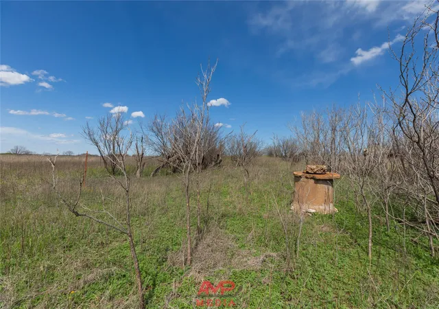 Homes for sale in Anson, TX | Tract 3 Cr 463, Anson, TX 79501 | MLS# 21237390
