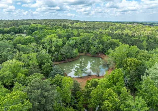Photo 1 of Land for sale at 1695 County Road 3408, Jacksonville, TX 75766 | MLS# 21237512 | Listing updated on 2026-10-02