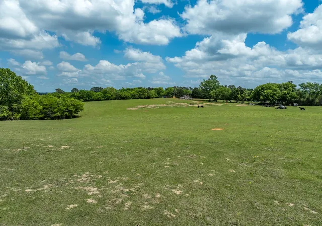 Photo 4 of Land for sale at 1695 County Road 3408, Jacksonville, TX 75766 | MLS# 21237512 | Listing updated on 2026-10-02