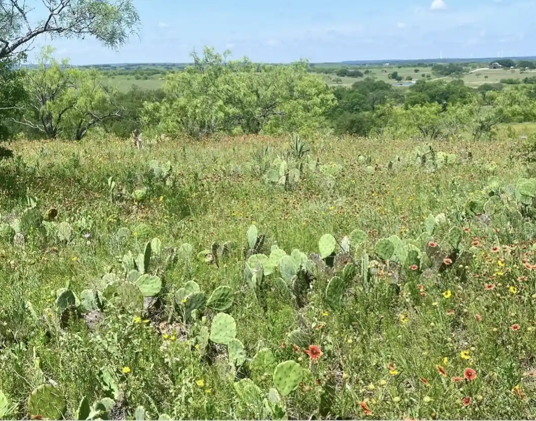 Photo 1 of Land for sale at Lot 59 Comanche Lake Road, Comanche, TX 76442 | MLS# 21237876 | Listing updated on 2026-04-14