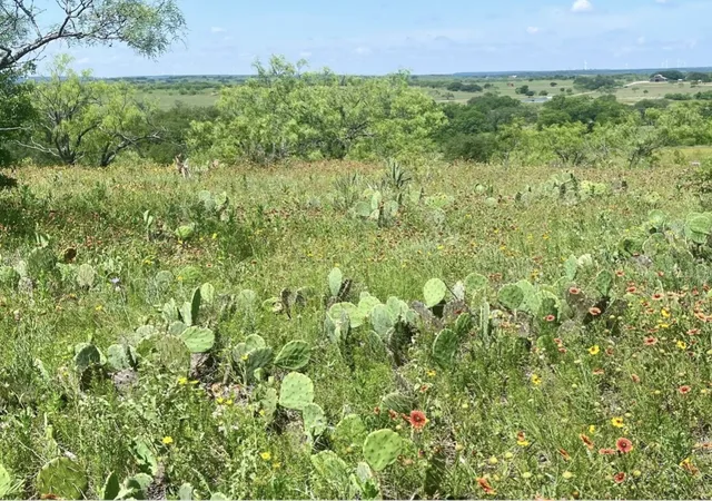 Homes for sale in Comanche, TX | Lot 59 Comanche Lake Road, Comanche, TX 76442 | MLS# 21237876