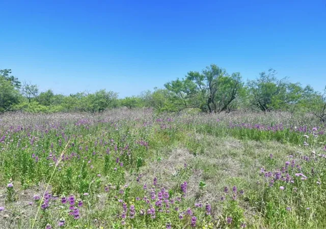 Homes for sale in Comanche, TX | Lot 59 Comanche Lake Road, Comanche, TX 76442 | MLS# 21237876