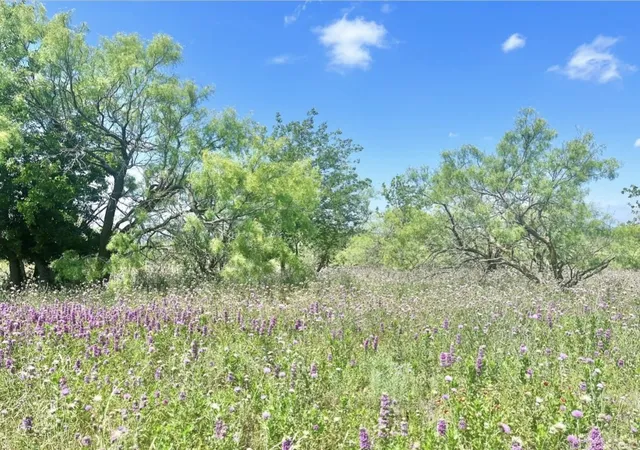 Homes for sale in Comanche, TX | Lot 59 Comanche Lake Road, Comanche, TX 76442 | MLS# 21237876