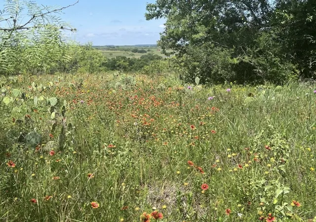 Homes for sale in Comanche, TX | Lot 59 Comanche Lake Road, Comanche, TX 76442 | MLS# 21237876