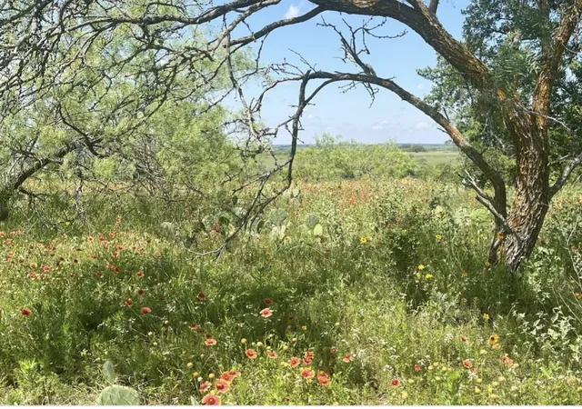 Homes for sale in Comanche, TX | Lot 59 Comanche Lake Road, Comanche, TX 76442 | MLS# 21237876