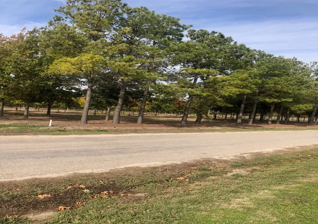 Homes for sale in Collinsville, TX | Tbd Jenkins Rd, Collinsville, TX 76233 | MLS# 21235817