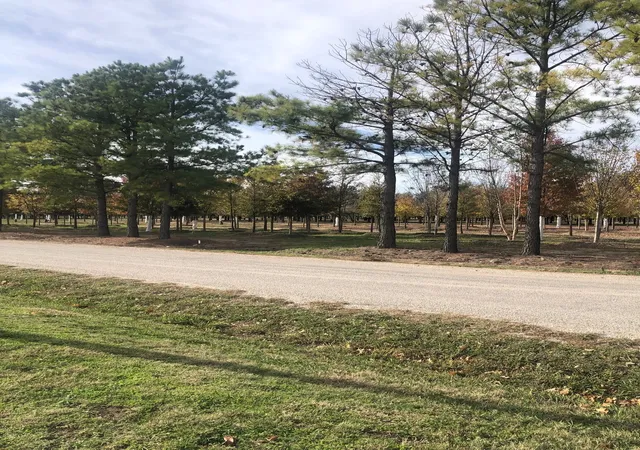 Homes for sale in Collinsville, TX | Tbd Jenkins Rd, Collinsville, TX 76233 | MLS# 21235817