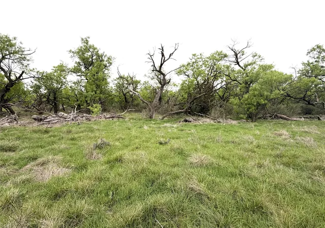 Photo 3 of Land for sale at Tbd Cr 156, Breckenridge, TX 76424 | MLS# 21237940 | Listing updated on 2026-09-30