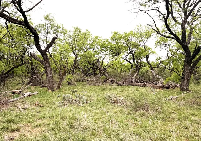 Photo 3 of House for sale at Tbd Cr 156, Breckenridge, TX 76424 | MLS# 21237940 | Listing updated on 2026-09-30