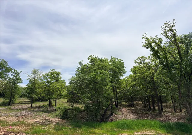 Photo 1 of Land for sale at 135 Turtle Back Rdg, Decatur, TX 76234 | MLS# 21237970 | Listing updated on 2026-04-14