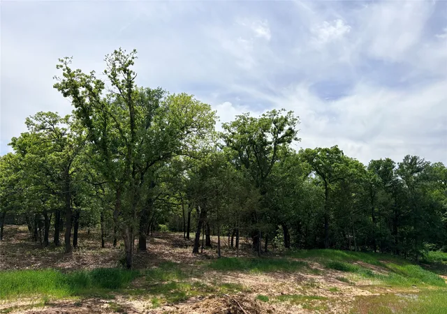 Photo 2 of Land for sale at 135 Turtle Back Rdg, Decatur, TX 76234 | MLS# 21237970 | Listing updated on 2026-04-14