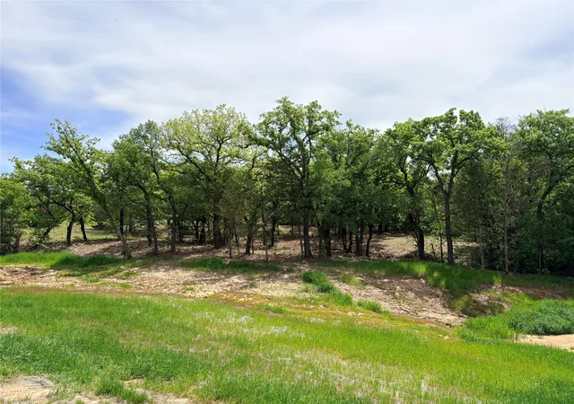 Photo 3 of Land for sale at 135 Turtle Back Rdg, Decatur, TX 76234 | MLS# 21237970 | Listing updated on 2026-04-14