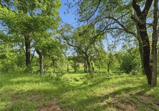 Homes for sale in Santo, TX | 1370 Capstone Ridge Dr, Santo, TX 76472 | MLS# 21238064