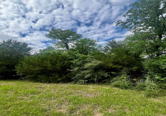 Homes for sale in Groesbeck, TX | Tbd Pr 5787, Groesbeck, TX 76642 | MLS# 21238355