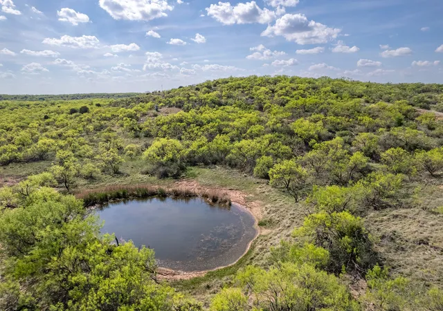 Homes for sale in Santa Anna, TX | Tbd Hwy 84, Santa Anna, TX 76878 | MLS# 21226778