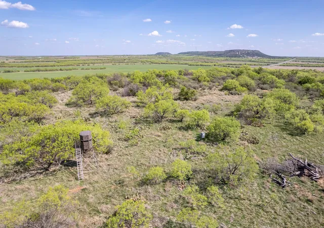 Homes for sale in Santa Anna, TX | Tbd Hwy 84, Santa Anna, TX 76878 | MLS# 21226778