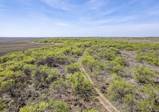 Photo 3 of Land for sale at Tbd County Road 464, Coleman, TX 76834 | MLS# 21229922 | Listing updated on 2026-10-07
