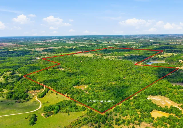 Homes for sale in Forestburg, TX | 2197 Netherly Ln, Forestburg, TX 76239 | MLS# 21239265
