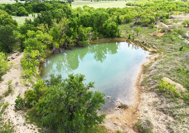 Homes for sale in Early, TX | Tbd County Road 165, Early, TX 76802 | MLS# 21238947