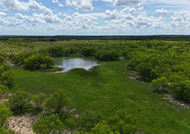 Homes for sale in Early, TX | Tbd County Road 165, Early, TX 76802 | MLS# 21238947