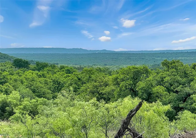 Homes for sale in Mingus, TX | Tbd Comanche Moon Dr, Mingus, TX 76463 | MLS# 21240003