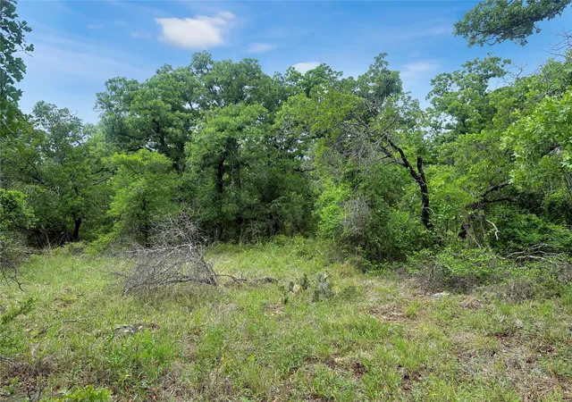 Homes for sale in Mingus, TX | Tbd Comanche Moon Dr, Mingus, TX 76463 | MLS# 21240003