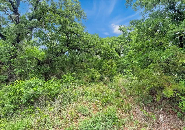 Homes for sale in Mingus, TX | Tbd Comanche Moon Dr, Mingus, TX 76463 | MLS# 21240003