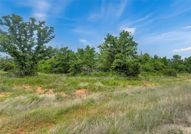 Homes for sale in Mingus, TX | Tbd Comanche Moon Dr, Mingus, TX 76463 | MLS# 21240003