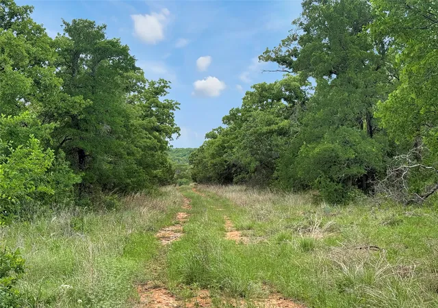 Homes for sale in Mingus, TX | Tbd Tenbears Ct, Mingus, TX 76463 | MLS# 21240160
