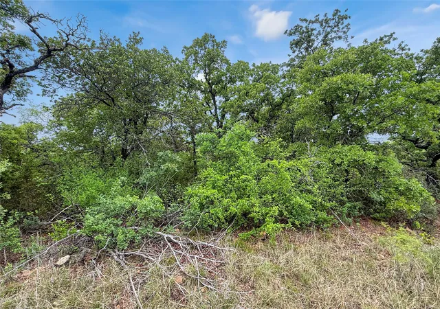 Homes for sale in Mingus, TX | Tbd Tenbears Ct, Mingus, TX 76463 | MLS# 21240160