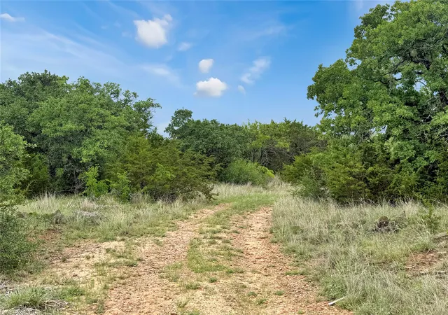 Homes for sale in Mingus, TX | Tbd Tenbears Ct, Mingus, TX 76463 | MLS# 21240160