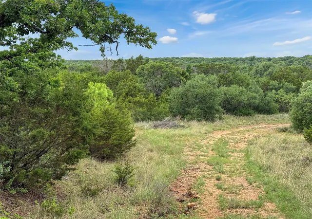Homes for sale in Mingus, TX | Tbd Tenbears Ct, Mingus, TX 76463 | MLS# 21240160