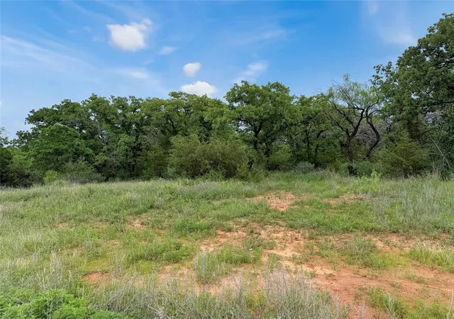 Homes for sale in Mingus, TX | Tbd Hoahway Dr, Mingus, TX 76463 | MLS# 21240462