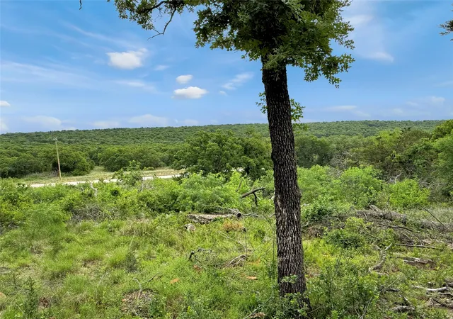 Homes for sale in Mingus, TX | Tbd Hoahway Dr, Mingus, TX 76463 | MLS# 21240462