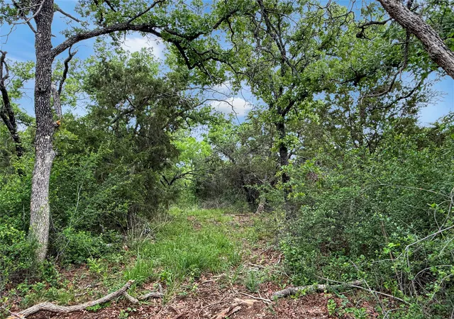 Homes for sale in Mingus, TX | Tbd Hoahway Dr, Mingus, TX 76463 | MLS# 21240462