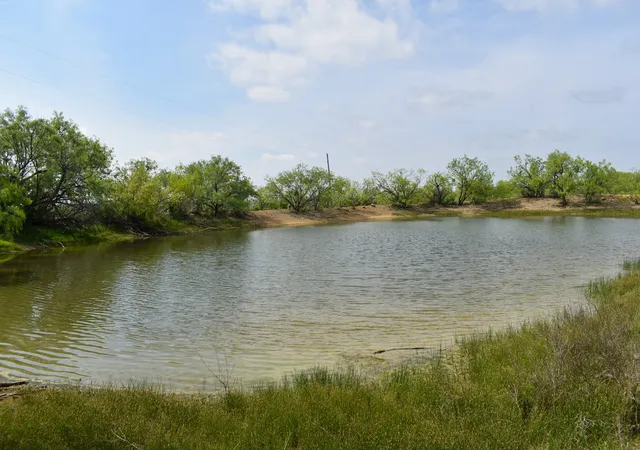 Homes for sale in Voss, TX | 3408 Cr 312, Voss, TX 76888 | MLS# 21240458
