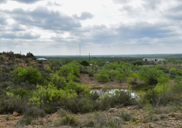 Homes for sale in Voss, TX | 3408 Cr 312, Voss, TX 76888 | MLS# 21240458