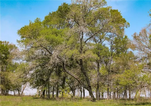 Homes for sale in Riesel, TX | Tbd Cr 152, Riesel, TX 76682 | MLS# 21240545
