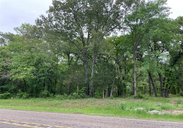 Land for sale at Tbd Valle Vista Rd, Athens, TX 75751 | MLS# 21240286