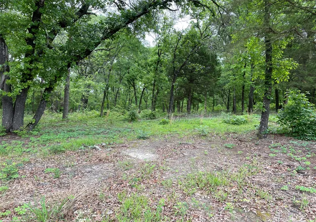 Photo 3 of Land for sale at Tbd Valle Vista Rd, Athens, TX 75751 | MLS# 21240286 | Listing updated on 2026-10-07