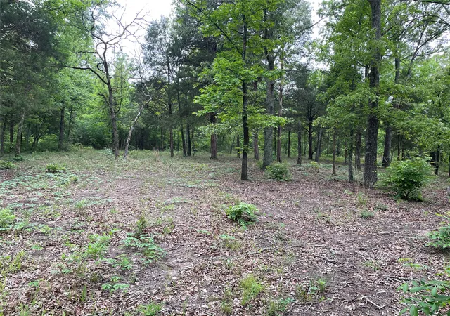 Photo 4 of Land for sale at Tbd Valle Vista Rd, Athens, TX 75751 | MLS# 21240286 | Listing updated on 2026-10-07
