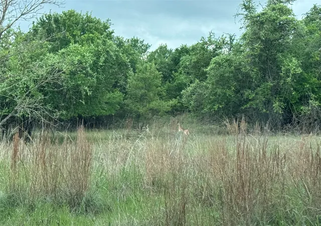 Photo 2 of Land for sale at Tbd Guadalupe, Weatherford, TX 76087 | MLS# 21241137 | Listing updated on 2026-07-09