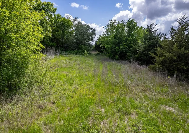 Photo 3 of Land for sale at 5228 County Road 599, Farmersville, TX 75442 | MLS# 21241706 | Listing updated on 2026-08-26