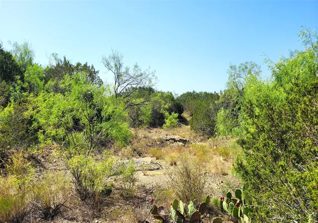 Homes for sale in Bangs, TX | Tbd Cr 139, Bangs, TX 76823 | MLS# 21241728