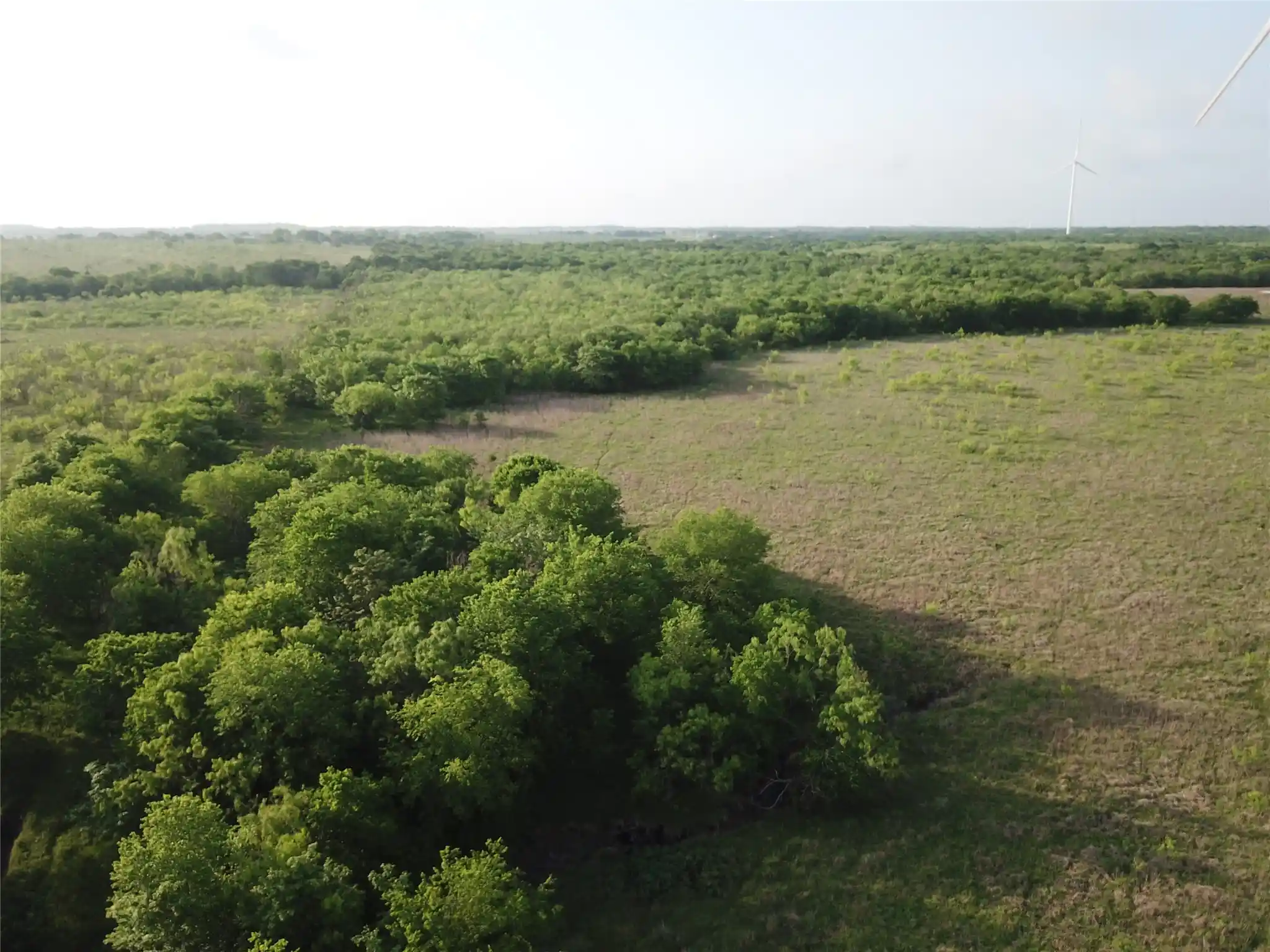 Photo 1 of Land for sale at 30864 Acres Lcr 208a, Coolidge, TX 76635 | MLS# 21240197 | Listing updated on 2026-10-12