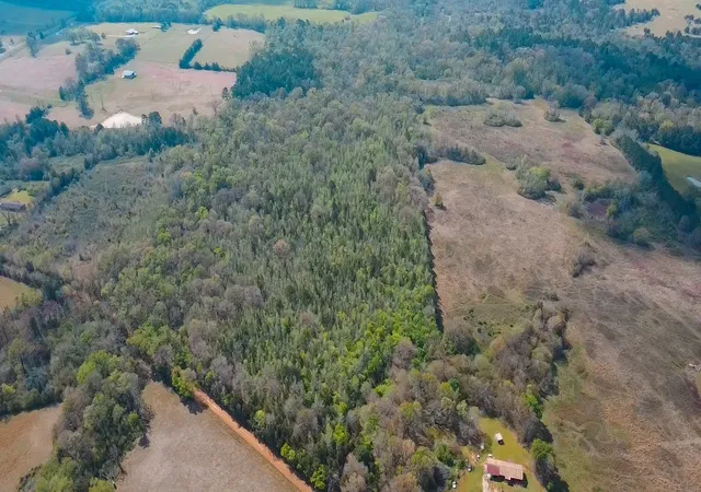 Photo 1 of Land for sale at Tbd Cr 4308 Reno Rd, Naples, TX 75568 | MLS# 21240563 | Listing updated on 2026-07-07